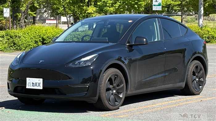 2024 Tesla Motors Others