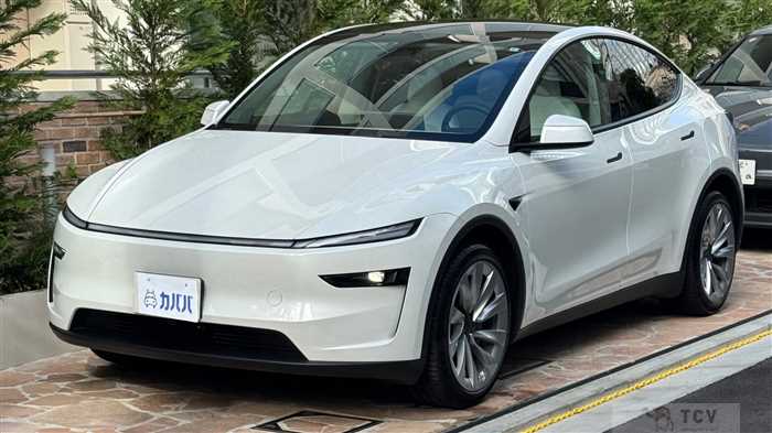 2025 Tesla Motors Others