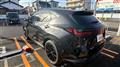 2025 Lexus NX