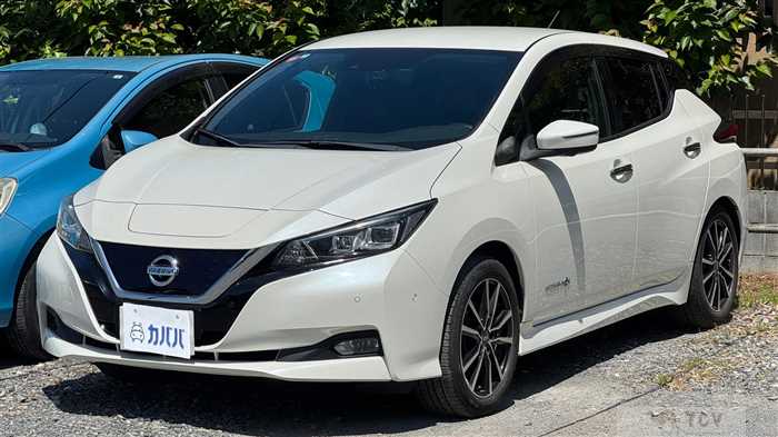 2018 Nissan Leaf