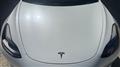 2022 Tesla Motors Others