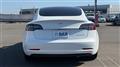 2021 Tesla Motors Others