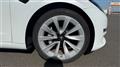 2021 Tesla Motors Others