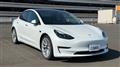 2021 Tesla Motors Others