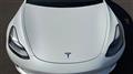 2021 Tesla Motors Others