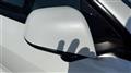 2021 Tesla Motors Others
