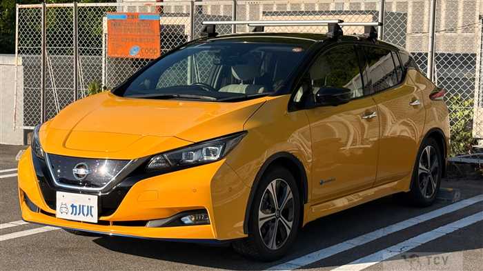 2019 Nissan Leaf