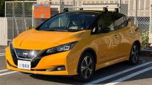 2019 Nissan Leaf