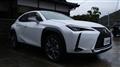 2021 Lexus UX