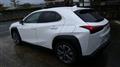2021 Lexus UX