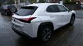 2021 Lexus UX
