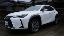 2021 Lexus UX