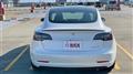 2020 Tesla Motors Others