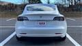 2020 Tesla Motors Others