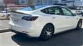 2022 Tesla Motors Others
