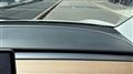2020 Tesla Motors Others