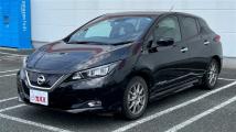 2017 Nissan Leaf