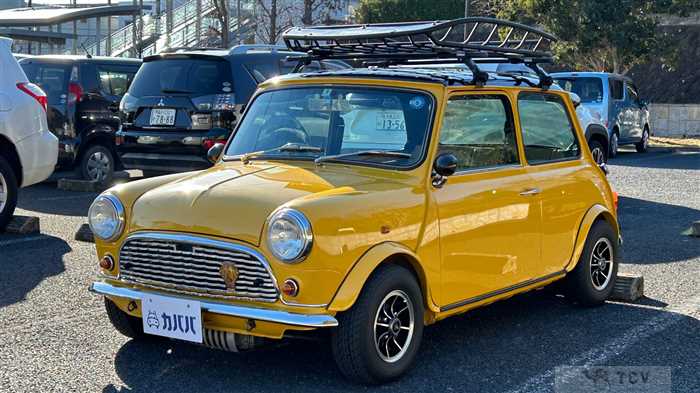 1994 Rover Mini