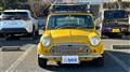 1994 Rover Mini