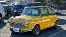1994 Rover Mini