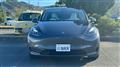 2022 Tesla Motors Others