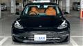 2019 Tesla Motors Others
