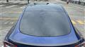 2022 Tesla Motors Others