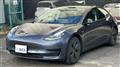 2020 Tesla Motors Others