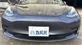 2020 Tesla Motors Others