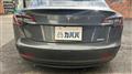 2020 Tesla Motors Others