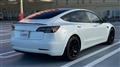 2021 Tesla Motors Others