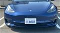 2021 Tesla Motors Others