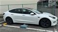 2022 Tesla Motors Others