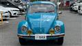1976 Volkswagen Volkswagen Others