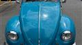 1976 Volkswagen Volkswagen Others