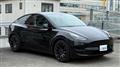 2023 Tesla Motors Others
