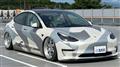 2021 Tesla Motors Others