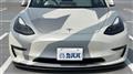 2021 Tesla Motors Others