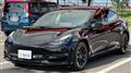 2021 Tesla Motors Others