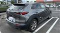 2019 Mazda Eunos Others