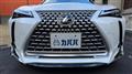 2025 Lexus UX