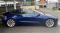 2019 Tesla Motors Others