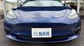 2019 Tesla Motors Others