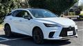 2025 Lexus RX