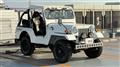 1995 Mitsubishi Mitsubishi Others