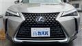 2021 Lexus UX