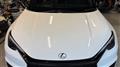 2024 Lexus Other