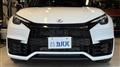 2024 Lexus Other
