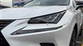 2019 Lexus NX