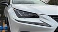 2019 Lexus NX